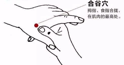 神農(nóng)中醫(yī)館 神農(nóng)中醫(yī)館