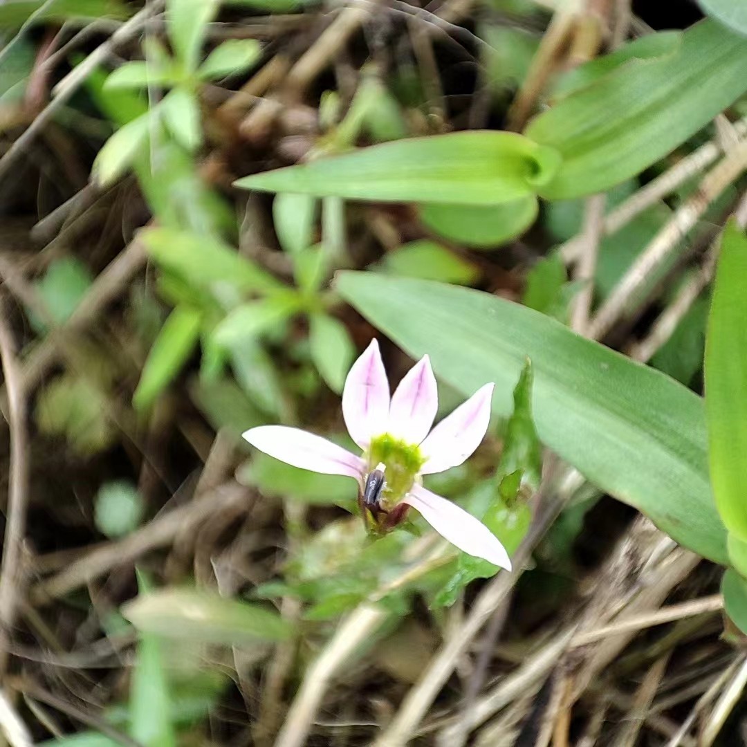 神農中醫(yī)館 神農中醫(yī)館