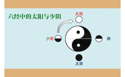 中醫(yī)基礎(chǔ)—六經(jīng)中的太陽(yáng)與少陰含義！