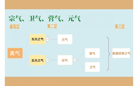 中醫(yī)里的“宗氣”、“衛(wèi)氣”、“營氣”、“元氣”